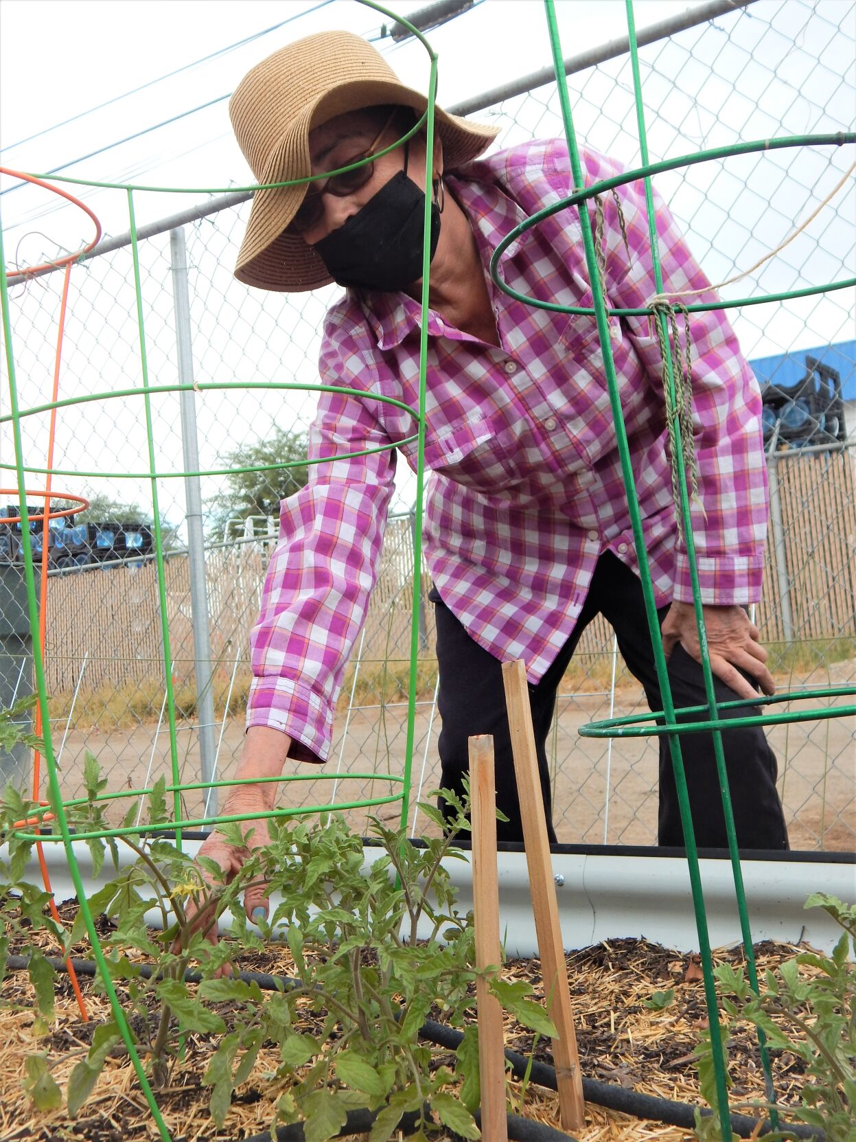 Brawley Senior Citizens Community Garden